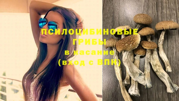 амфетамин Белокуриха
