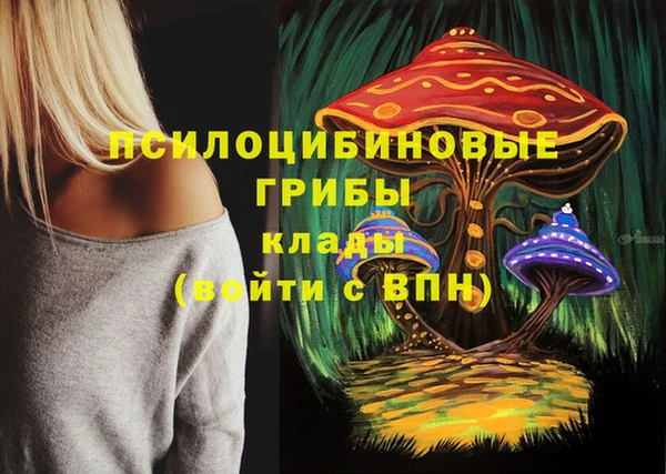 амфетамин Белокуриха